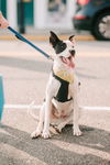 Radar - Ready for Fun!
