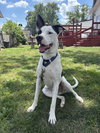 Radar - Ready for Fun! - Photo 4