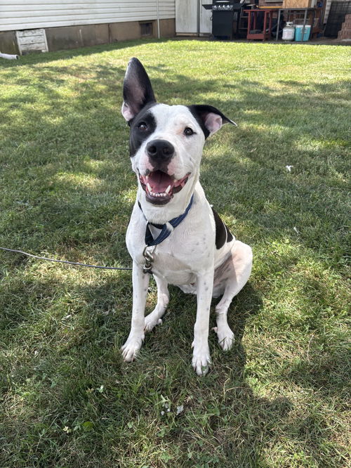 Radar - Ready for Fun!