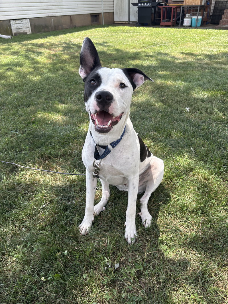 Radar – Ready for Fun!
