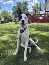 Radar - Ready for Fun! - Photo 5