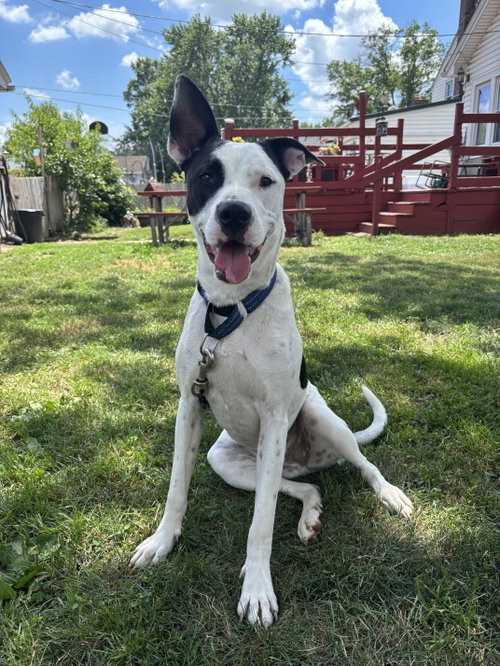 Radar - Ready for Fun photo 5