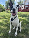 Radar - Ready for Fun! - Photo 6