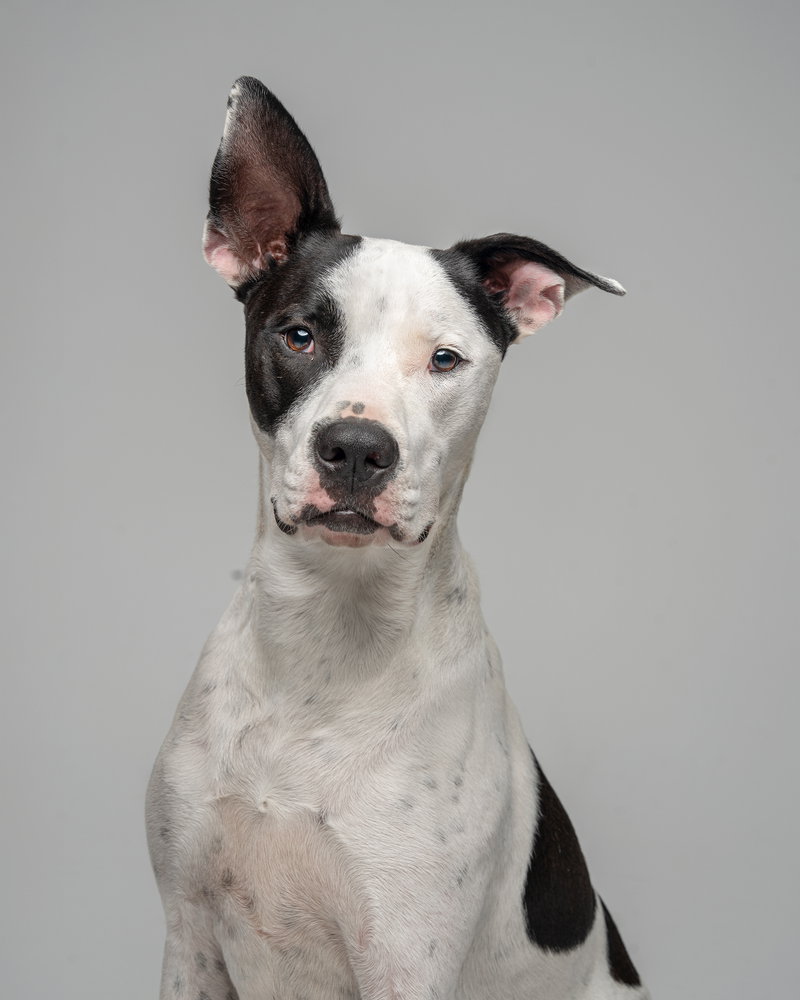 Radar – Ready for Fun!