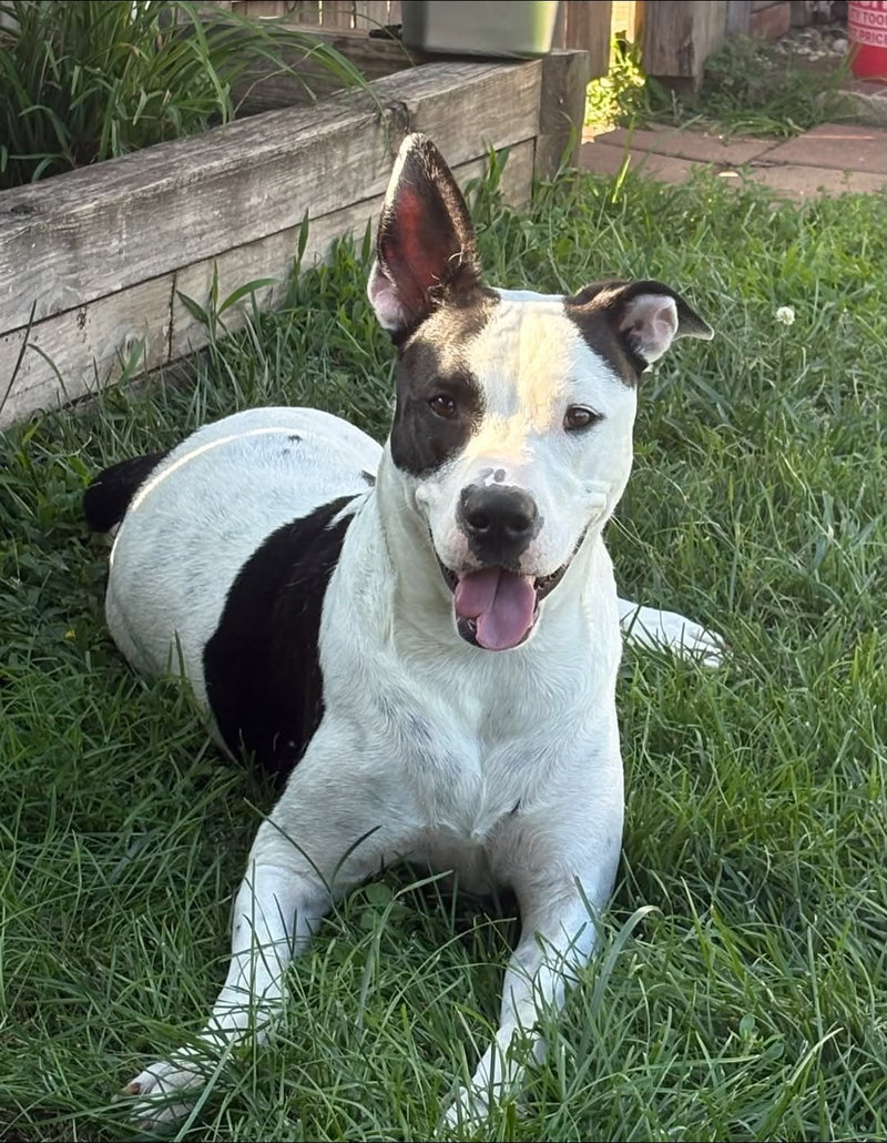 Radar – Ready for Fun!