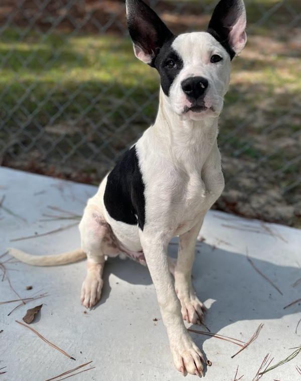 Radar - Ready for Fun!
