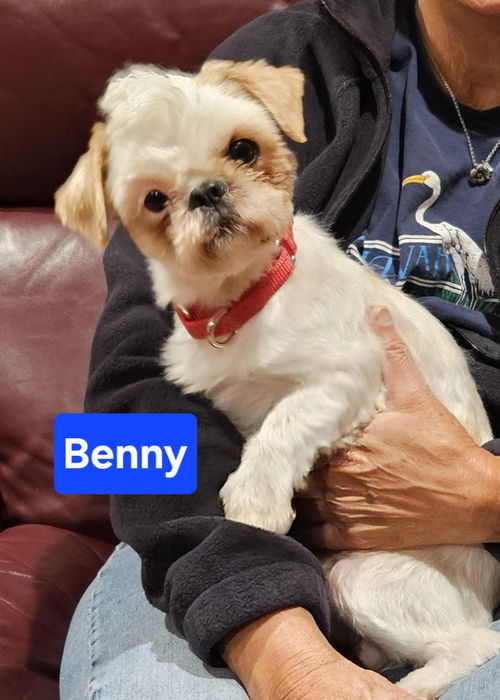 Benny