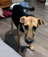 Sammie nka Stella