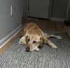 Sadie nka Shay
