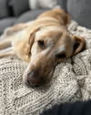 Sadie nka Shay