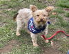 Sport - Super Cute!