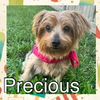 Precious