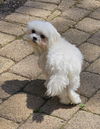 Little Man - Lovely Boy!