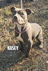 Kasey - Kind Beauty!