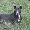 Blue - I want to play the day away! - Photo 2