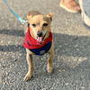 Atlas - Little Boy, Big Heart!