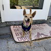 Atlas - Little Boy, Big Heart!