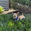 Atlas - Little Boy, Big Heart!