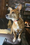 Wilbur