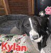 Kylan - Kind boy!