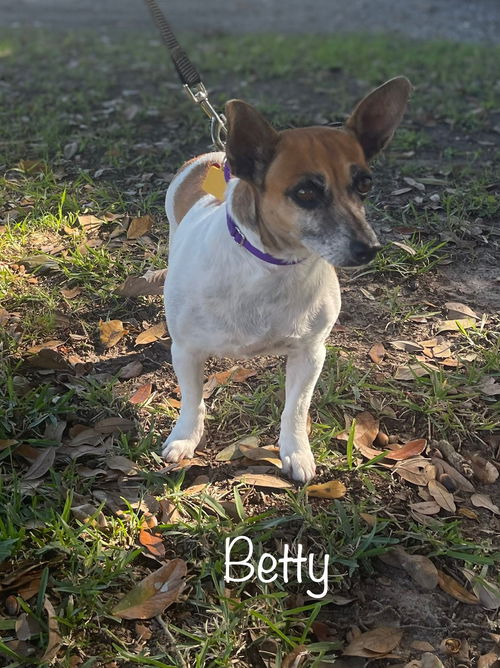 Betty - Special Girl!