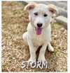 Storm - Super Cute!