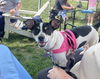 Birdie - Beautiful Lady!
