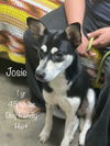 Josie Jane - Just Adorable!