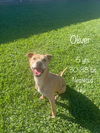 Oliver - Awesome boy!