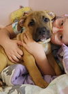Teddy Jr - Tots Adorbs!!