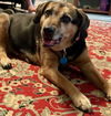 Abby - Awesome Girl!