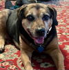 Abby - Awesome Girl!