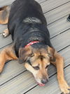 Abby - Awesome Girl!