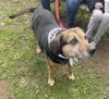 Abby - Awesome Girl!