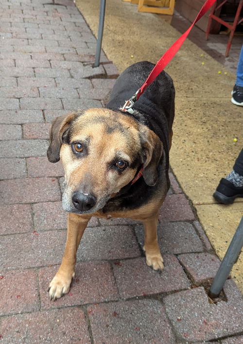 Abby - Awesome Girl!