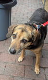 Abby - Awesome Girl!
