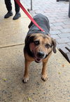 Abby - Awesome Girl!