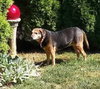 Abby - Awesome Girl! - Photo 11