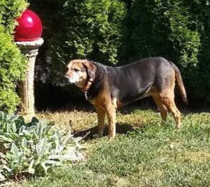 Abby - Awesome Girl! — thumbnail 14