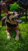 Abby - Awesome Girl! - Photo 1