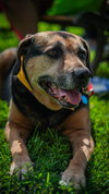 Abby - Awesome Girl! - Photo 4