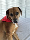Ruby - Wanna fetch?