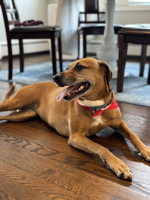 Ruby - Wanna fetch?