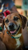 Ruby - Wanna fetch?