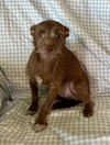 Mia - My My I'm Adorable!