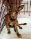 Mia - My My I'm Adorable!!
