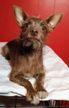 Mia - My My I'm Adorable!