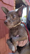 Mia - My My I'm Adorable!