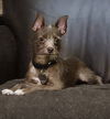 Mia - My My I'm Adorable!!