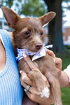 Mia - My My I'm Adorable!!